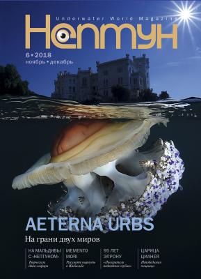 Нептун №6/2018 - Отсутствует Журнал «Нептун» 2018