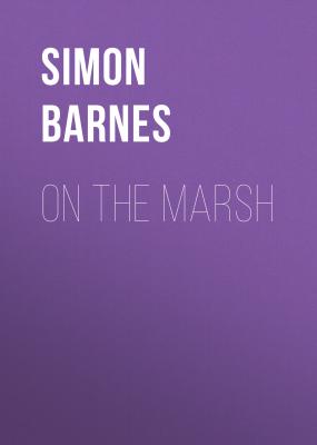 On the Marsh - Simon Barnes 