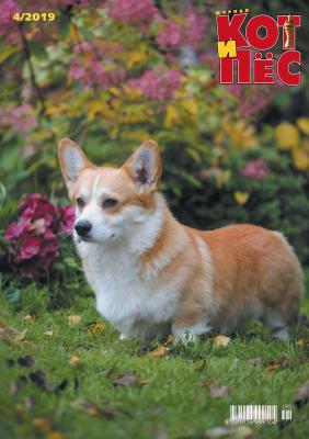 Кот и Пёс №4/2019 - Отсутствует Журнал «Кот и Пёс» 2019