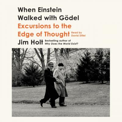 When Einstein Walked with Godel - Jim Holt 