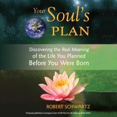 Your Soul's Plan - Robert Schwartz 