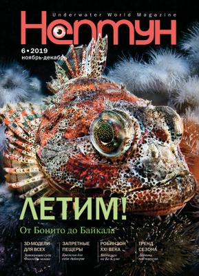 Нептун №6/2019 - Отсутствует Журнал «Нептун» 2019