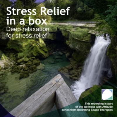 Stress Relief In A Box - Annie Lawler 