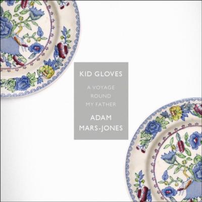 Kid Gloves - Adam  Mars-Jones 