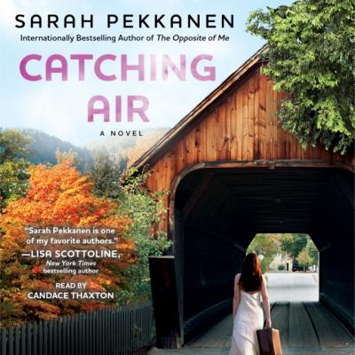 Catching Air - Sarah Pekkanen 