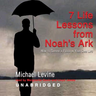 Seven Life Lessons from Noah's Ark - Michael  Levine 