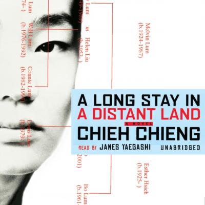 Long Stay in a Distant Land - Chieh Chieng 