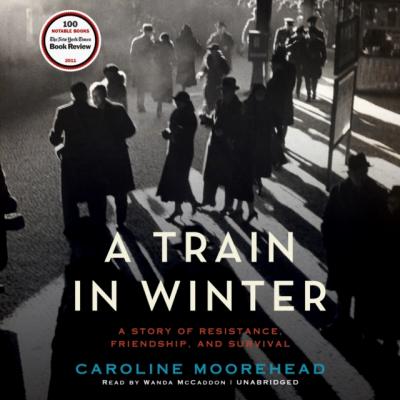 Train in Winter - Caroline  Moorehead 