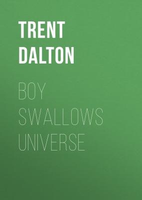 Boy Swallows Universe - Trent Dalton 