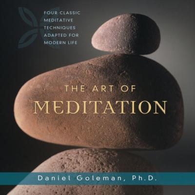 Art of Meditation - Ph.D. Prof. Daniel Goleman 