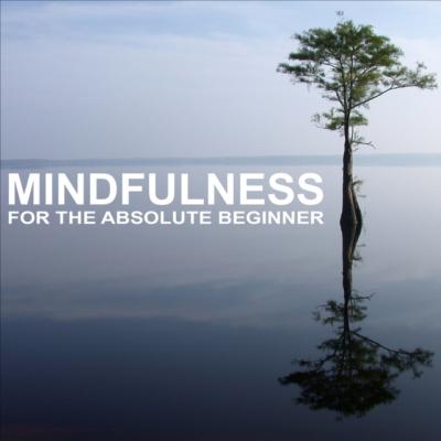 Mindfulness for the Absolute Beginner - Sue Fuller 