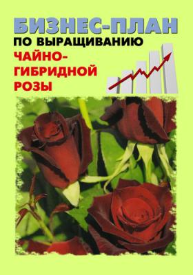 Бизнес-план по выращиванию чайно-гибридной розы - Павел Шешко 