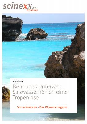 Bermudas Unterwelt - Nadja  Podbregar 
