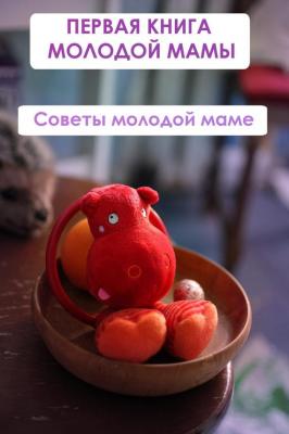 Советы молодой маме - Илья Мельников Первая книга молодой мамы