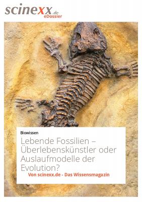 Lebende Fossilien - Dieter  Lohmann 