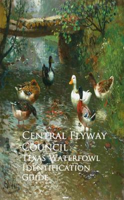 Texas Waterfowl Identification Guide - Central Flyway Council 