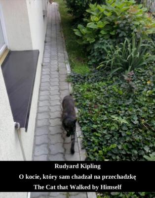 O kocie, który sam chadzał na przechadzkę. The Cat that Walked by Himself - Редьярд Киплинг 