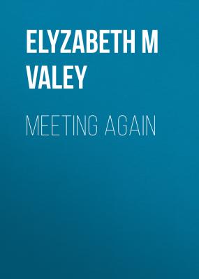 Meeting Again - Elyzabeth M VaLey 