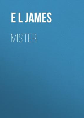 Mister - E L James 