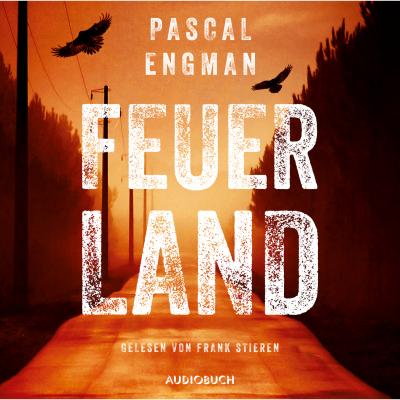 Feuerland - Vanessa Frank-Thriller 1 (Gekürzt) - Pascal Engman 