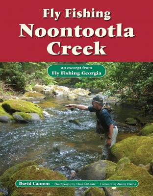 Fly Fishing Noontootla Creek - David Cannon L. 