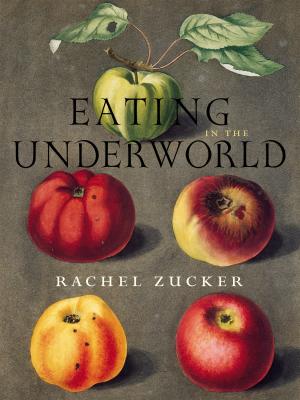 Eating in the Underworld - Rachel Zucker Wesleyan Poetry Series