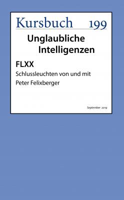 FLXX | Schlussleuchten von und mit Peter Felixberger - Peter  Felixberger 