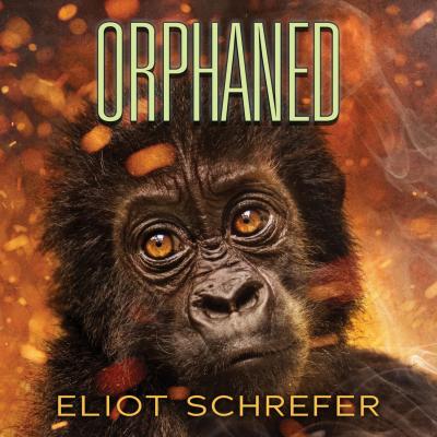 Orphaned - Ape Quartet 4 (Unabridged) - Eliot Schrefer 