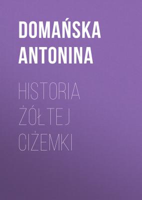 Historia żółtej ciżemki - Domańska Antonina 