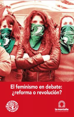 El feminismo en debate ¿reforma o revolución? - Celeste Fierro 
