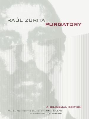 Purgatory - Raul Zurita 