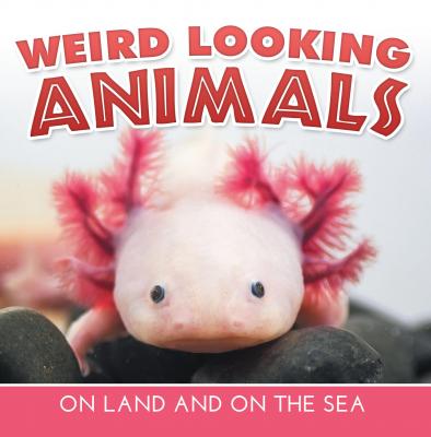 Weird Looking Animals On Land and On The Sea - Baby Professor Children's Animal Books