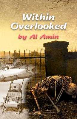 Within Overlooked - Al Amin 