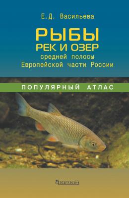 Рыбы рек и озёр средней полосы Европейской части России - Е. Д. Васильева 