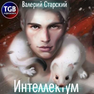 Интеллектум - Валерий Старский 
