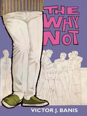 The Why Not - Victor J. Banis 