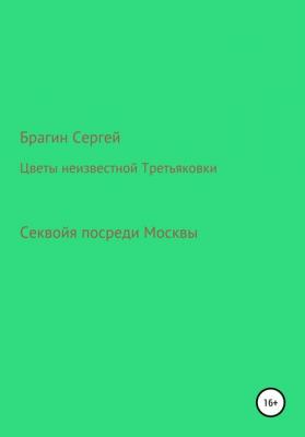 Цветы неизвестной Третьяковки - Сергей Брагин 