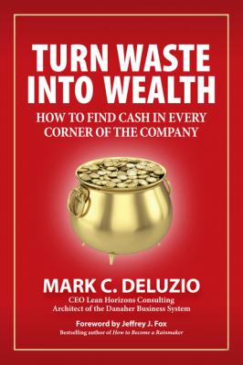 Turn Waste into Wealth - Mark C. DeLuzio 