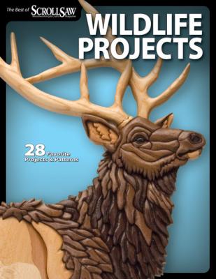 Wildlife Projects - Lora S. Irish 