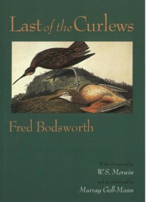 Last of the Curlews - Fred Bodsworth 