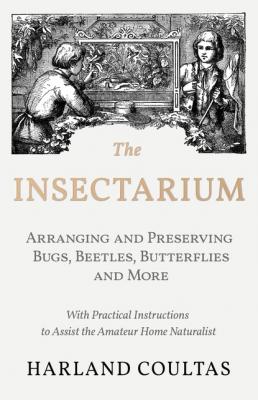 The Insectarium - Collecting, Arranging and Preserving Bugs, Beetles, Butterflies and More - With Practical Instructions to Assist the Amateur Home Naturalist - Harland Coultas 