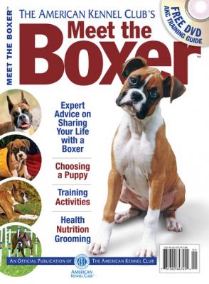 Meet the Boxer - Dog Fancy Magazine 
