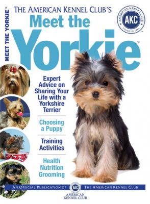 Meet the Yorkie - Dog Fancy Magazine 