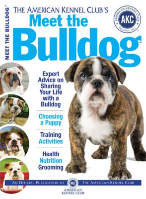 Meet the Bulldog - Dog Fancy Magazine 