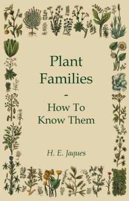 Plant Families - How To Know Them - H. E. Jaques 