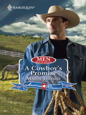 A Cowboy's Promise - Marin  Thomas 