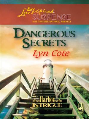 Dangerous Secrets - Lyn  Cote 