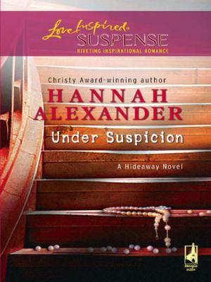 Under Suspicion - Hannah  Alexander 