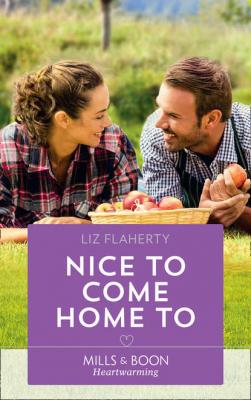 Nice To Come Home To - Liz  Flaherty 