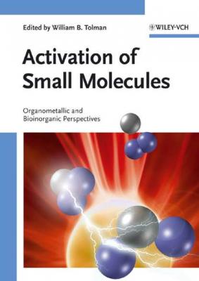 Activation of Small Molecules - Группа авторов 